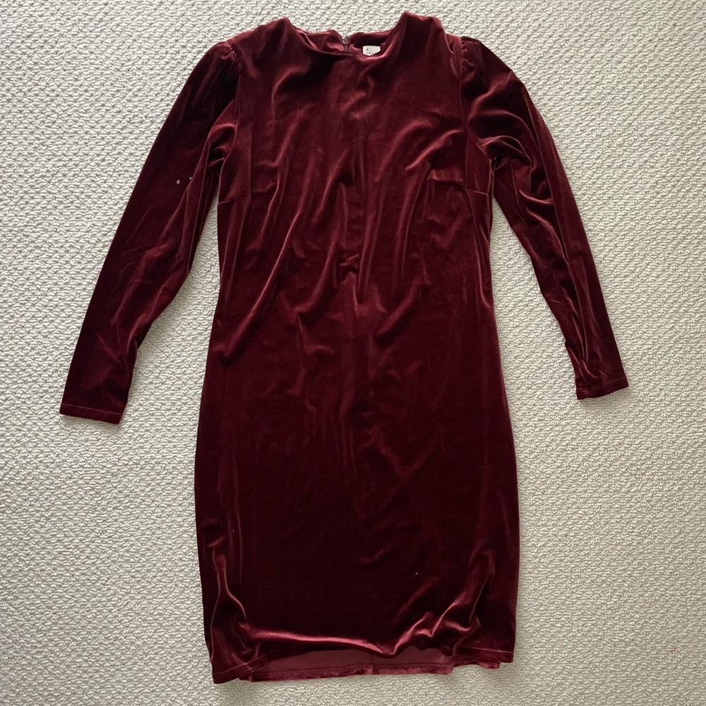 Beautiful Red Velvet Dress